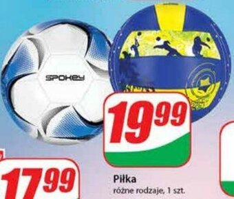 Dino Piłka oferta