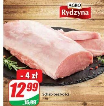 Dino Schab bez kości 1kg oferta