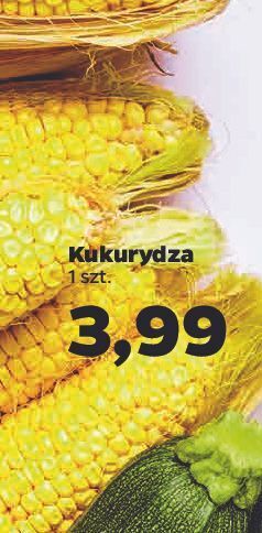 Netto Kukurydza oferta