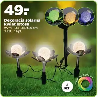 Netto Dekoracja solarna kwiat lotosu oferta