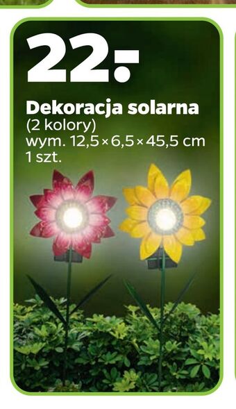 Netto Dekoracja solarna oferta