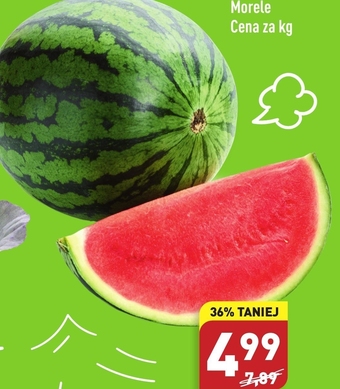 ALDI Arbuz Aldi oferta