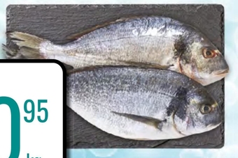 bi1 Dorada oferta