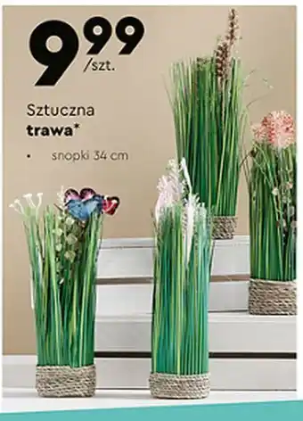 Biedronka Trawa sztuczna 34 cm oferta