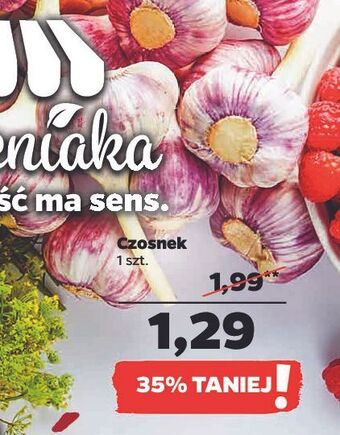 Netto Czosnek oferta