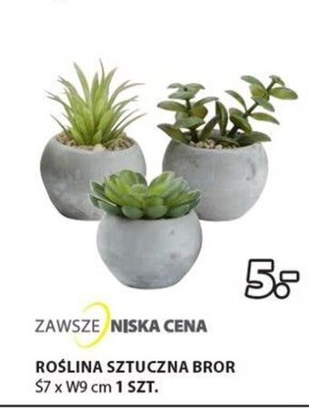 JYSK Roślina sztuczna Bror oferta