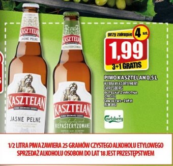 Topaz Piwo Kasztelan 0,5 l oferta