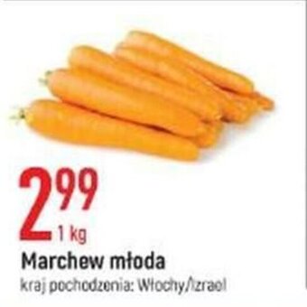 E.Leclerc Marchew młoda 1kg oferta