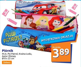 Action Piórnik oferta