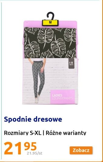 Action Spodnie dresowe oferta