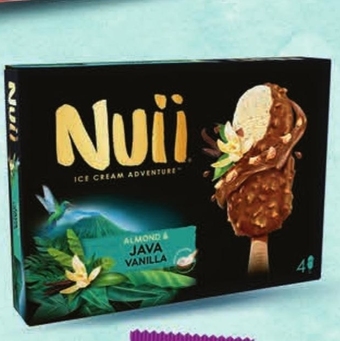 Intermarche Nuii Lody waniliowe z kawałkami prażonych migdałów 360 ml (4 sztuki) oferta