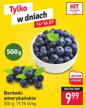 Stokrotka Borówki amerykańskie oferta