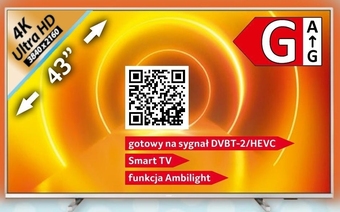 Selgros Telewizor Philips oferta