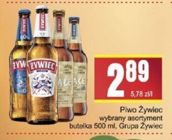 Słoneczko Piwo Żywiec 500 ml oferta