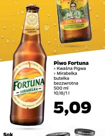 Netto Piwo Fortuna oferta