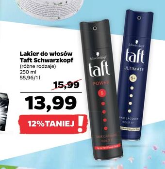 Netto Lakier do włosów Taft Schwarzkopf oferta