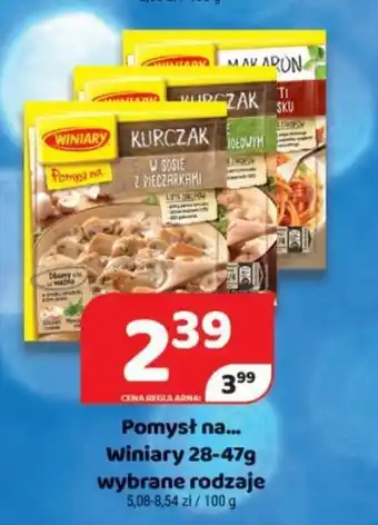 Delfin Pomysł na... Winiary 28-47 g oferta