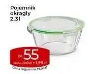 Stokrotka Pojemnik okrągły 2.3 l oferta