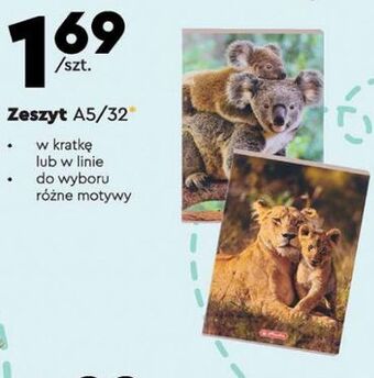 Biedronka Zeszyt a5 32 kartki kratka Herlitz oferta