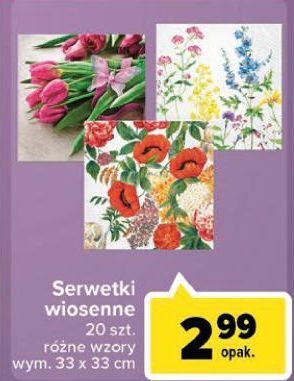 Carrefour Serwetki wiosenne wym. 33 x cm oferta