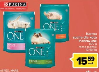 Carrefour Karma dla kota sterilcat wołowina i pszenica Purina One oferta