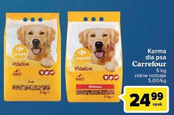 Carrefour Karma dla psa wołowina Carrefour Companino oferta