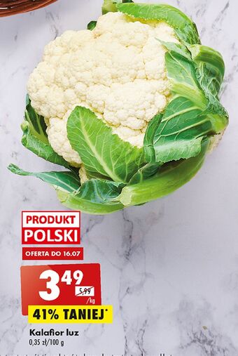 Biedronka Kalafior oferta