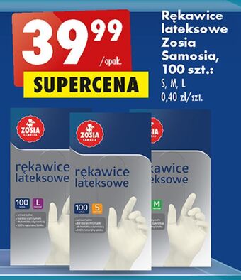 Biedronka Rękawice lateksowe l Zosia Samosia oferta