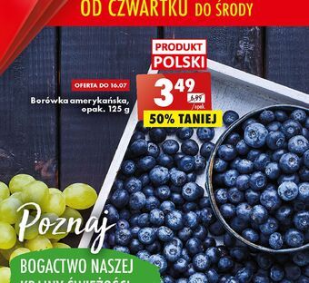 Biedronka Borówka amerykańska oferta