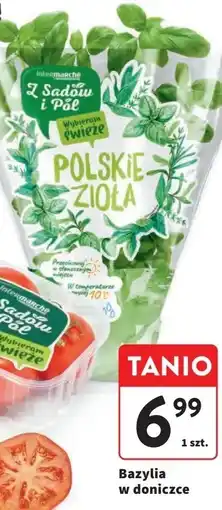 Intermarche Bazylia oferta