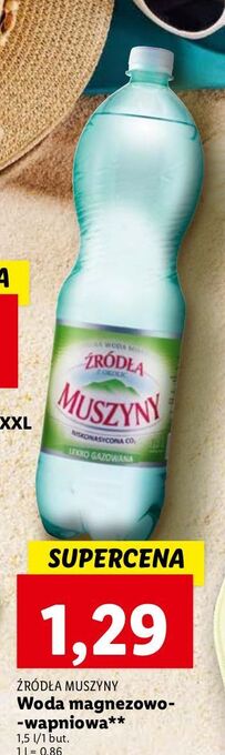 Lidl Woda lekko gazowana Źródła Muszyny oferta