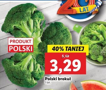 Polski brokuł 1 szt.