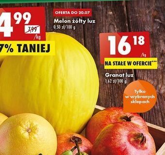 Biedronka Monstera monkey mask 12 cm oferta