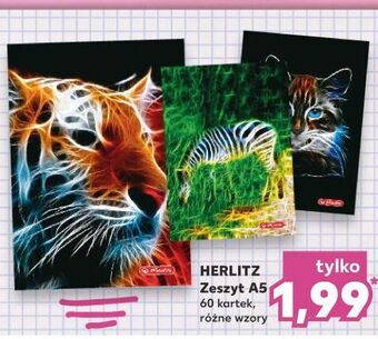 Kaufland Zeszyt a5/60 k. Herlitz oferta