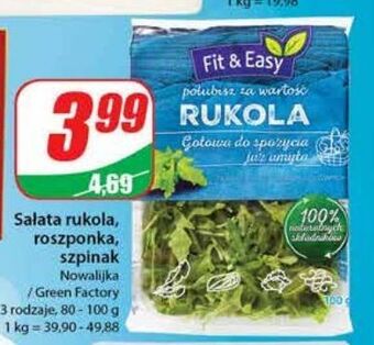 Dino Szpinak Fit & Easy oferta