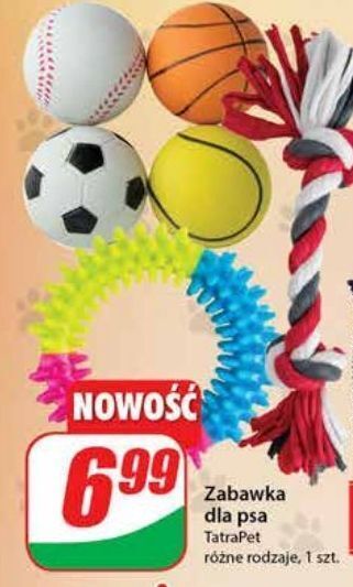 Dino Zabawka dla psa Tatrapet oferta