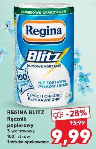 Ręcznik kuchenny Regina Blitz