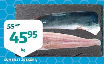 Sum filet ze skórą