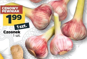 Netto Czosnek 1szt. oferta