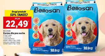 Lidl Karma dla psa wołowina Bellosan oferta