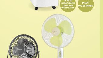 Auchan Szaszłyk z indyka boczkiem i cebulą oferta