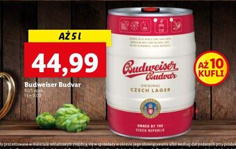 Lidl Piwo b: original Budweiser Budvar oferta