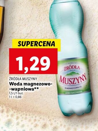 Lidl Woda lekko gazowana Źródła Muszyny oferta
