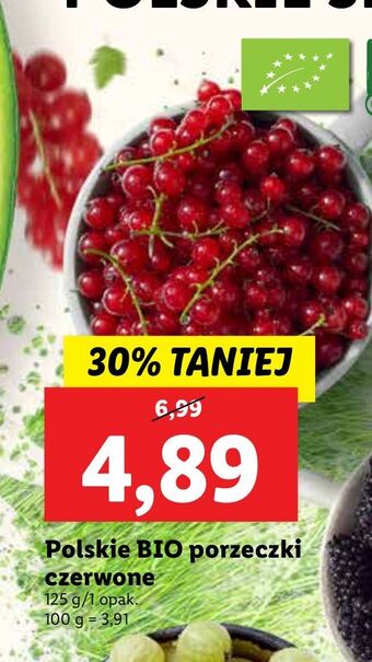 Porzeczka czerwona