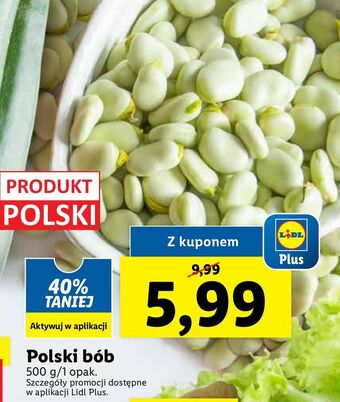Lidl Bób oferta