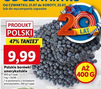Lidl Borówki amerykańskie oferta