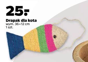Netto Drapak dla kota oferta