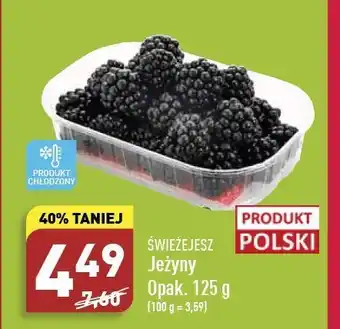 ALDI Jeżyny Świeże Jesz oferta