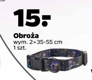 Netto Obroża dla psa oferta