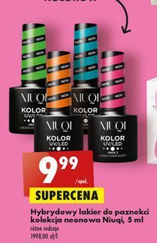 Biedronka Lakier hybrydowy pink 6 Niuqi oferta